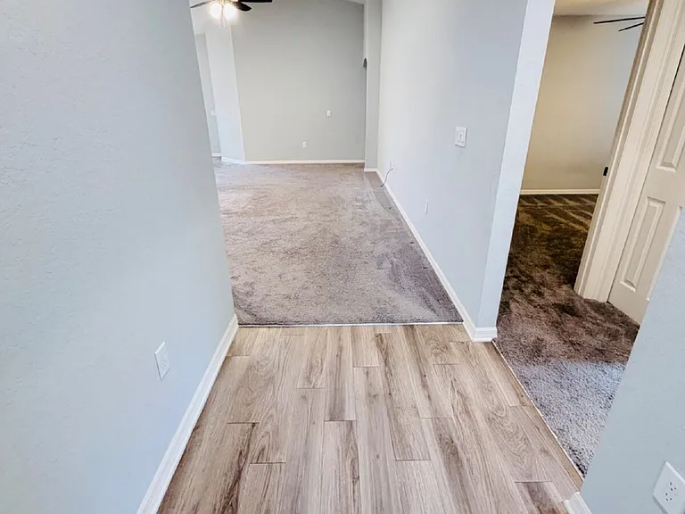 3798 White Ibis Rd — Photo 4