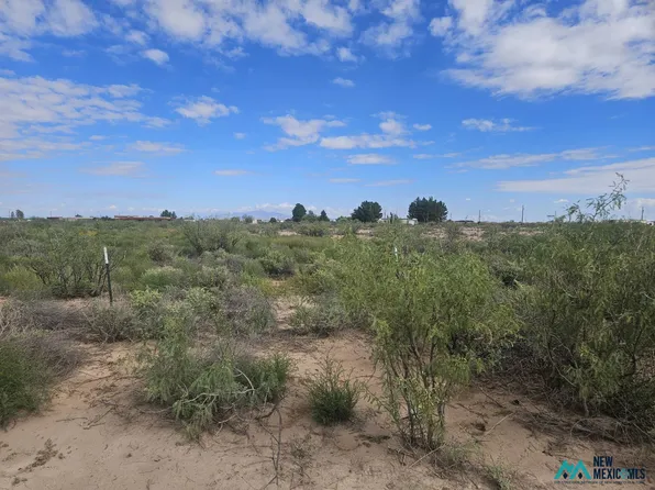 1234 Luna Rd SE #E, Deming, NM 88030