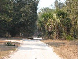 Entrance 5 AC Sunshine State Homesite
