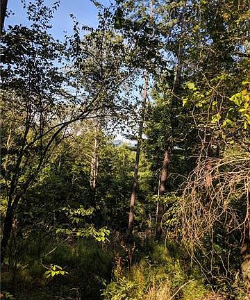 3rd image of 2176 Bear Creek Rd