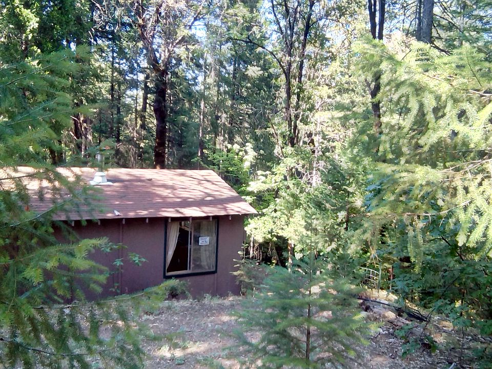 Creekside Cabin view