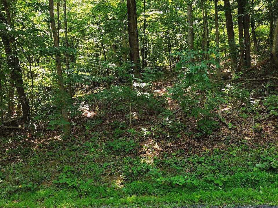 2nd image of Willow Ln