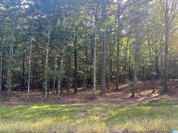 LOT 2 Morton Rd, Warrior, AL 35180