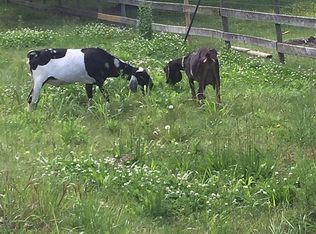 349 Orchid Ln, Mountain Home, AR 72653