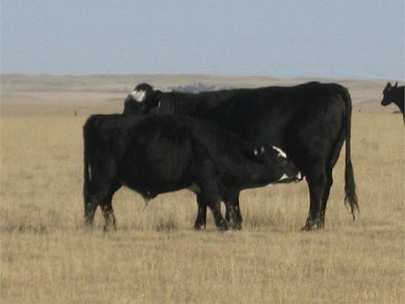 4th image of 50240 County Road 97