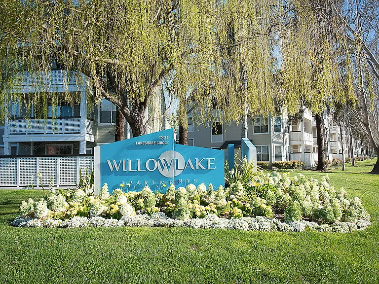 Willow Lake — Photo 51