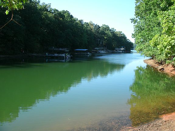 Secluded cove on Lake Lanier