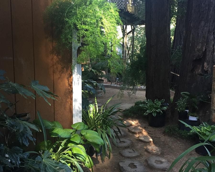 1st image of 22 Ivy Ln