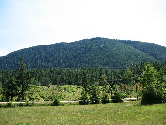Gorgeous Mountain View