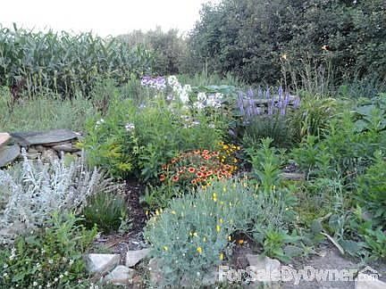 Kitchen
						:
						New stainless steel appliances purchased this year