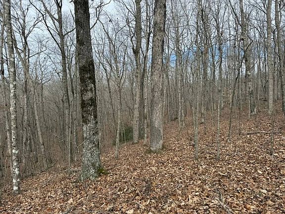 5th image of 0 Cravenstown Rd