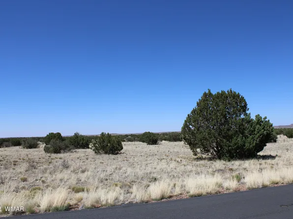 7668 Arroyo Plata Dr, Show Low, AZ 85901