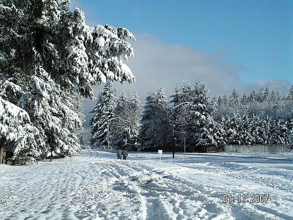 NE view from backyard