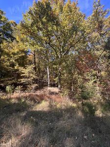 22 Wauka Mountain Rd, Clermont, GA, 30527