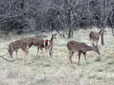 Highway 590, Comanche, TX, 76442
