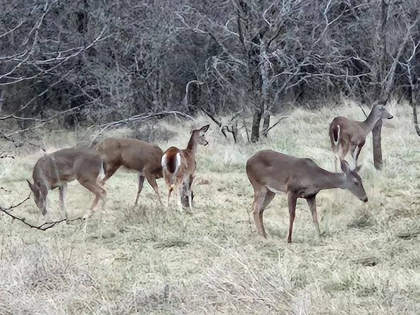 Highway 590, Comanche, TX 76442