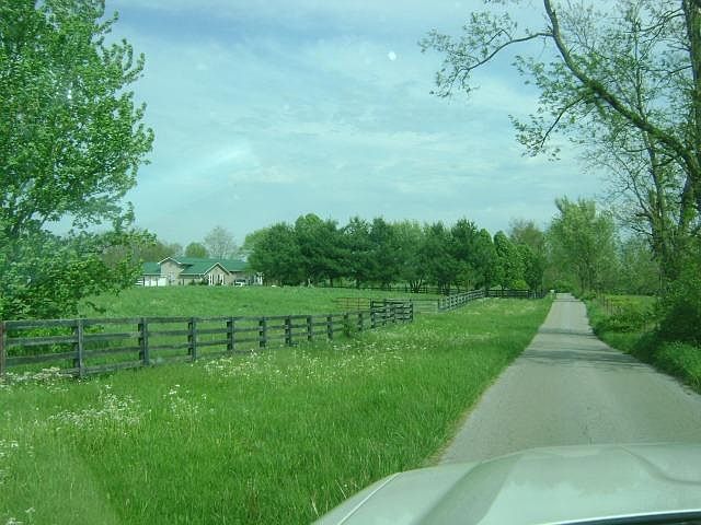 2nd image of 385 Bradford Ln