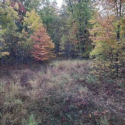 2nd image of 0 W Lily Lake Rd