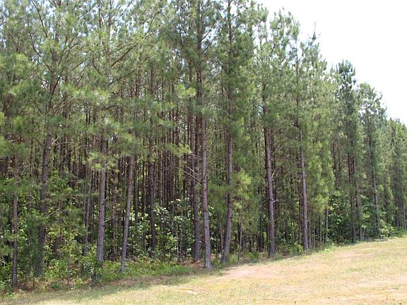 2nd image of LOT 1 Us Highway 401 S Lot 1