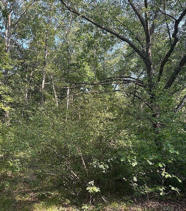2nd image of 8159 Roosevelt Rd