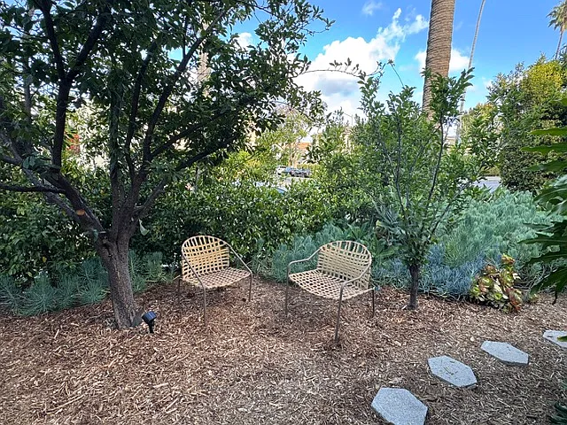 445 N Doheny Dr #B — Photo 20
