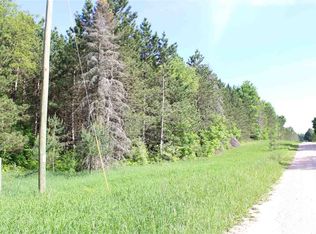 Litzen Rd, Copemish, MI 49625