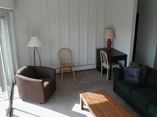 Large 1-bdrm living room