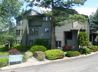 270 Bridge Street Streamside #1-UNIT 12, Bigfork, MT 59911