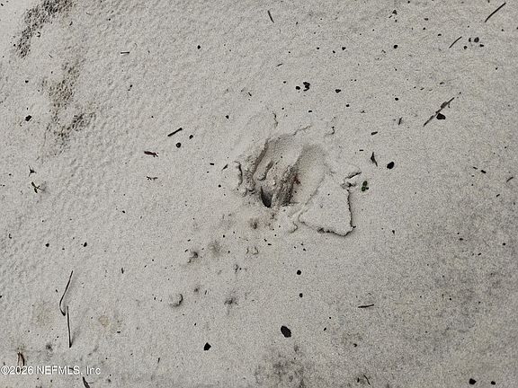 3rd image of 248 SADDLEBACK Trail