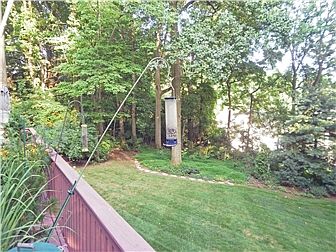 View or rear yard to the left