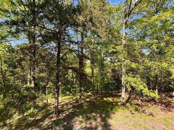19 Levee Rd, Solgohachia, AR 72156