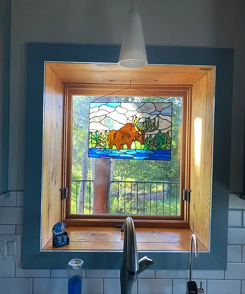 view out the kitchen window