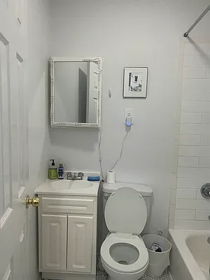 Rented by Delmark Realty LLC | media 15