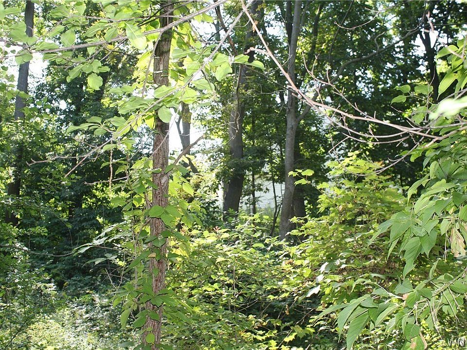 2nd image of Sullivan Ct
