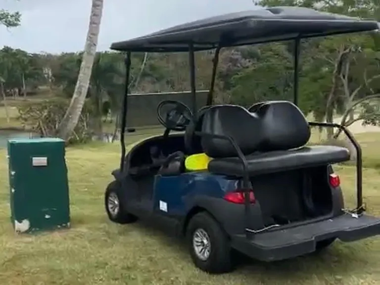 Electric golf cart for villa