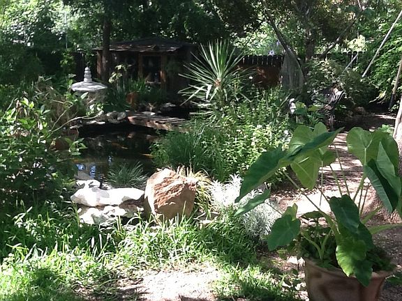 Pond