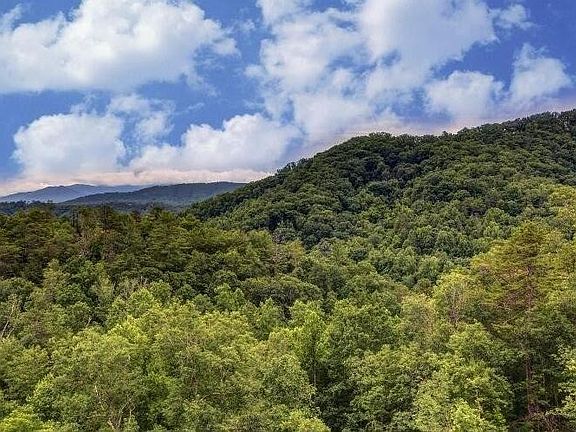 5th image of 1163 Pine Mountain Rd