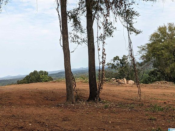 5th image of 16091 Jackson Trace Rd Lot 0