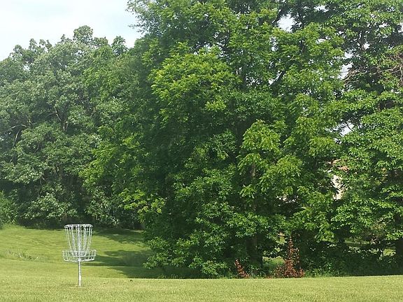 Nearby Frisbee Golf