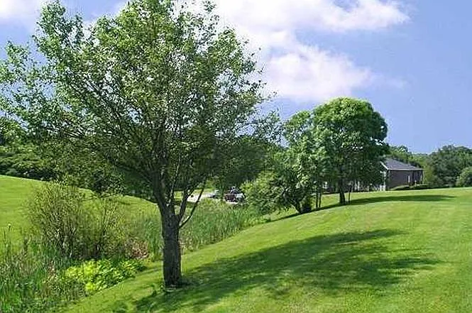 Olde English Village — Photo 24