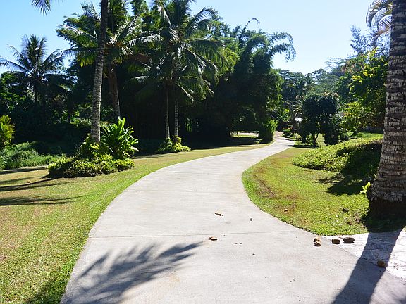 Driveway