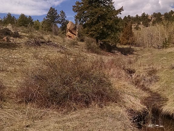 Seasonal stream on 3.77 acre