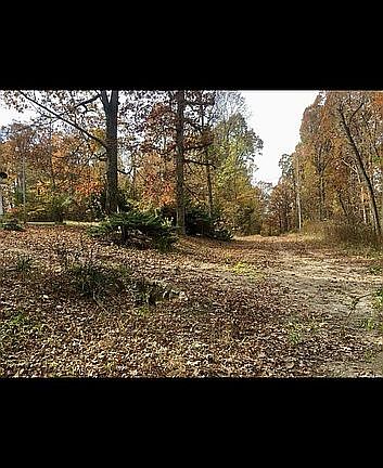 2nd image of 54 Skyline Dr