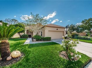 9315 Fairway Lakes Ct, Tampa, FL 33647