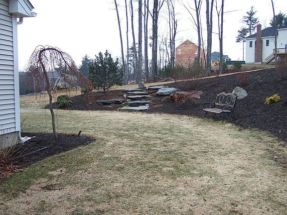 Back Lawn
