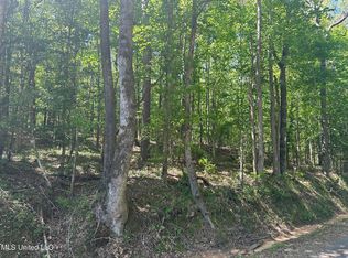 Mill Branch Rd, Pulaski, MS 39152