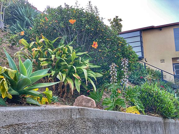 3rd image of 4305 Caledonia Way