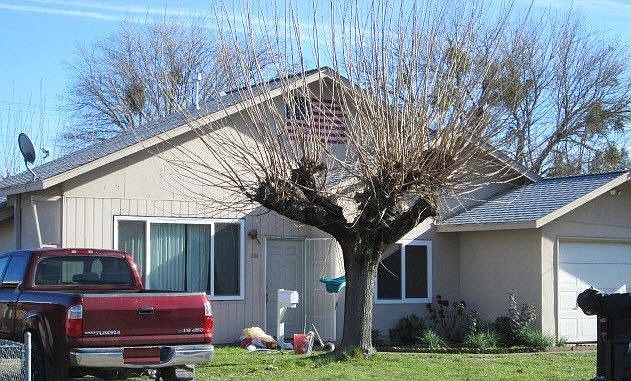 1st image of 284 Irvington Dr