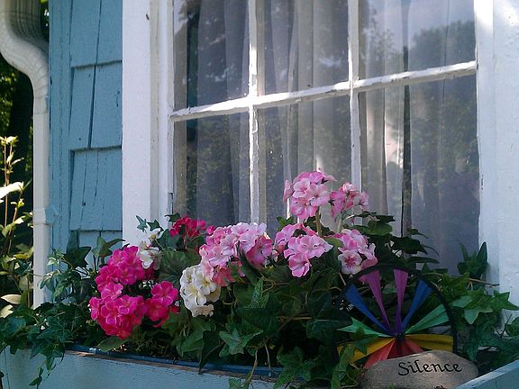 Workshed window