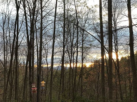 4th image of 349 Turkey Run